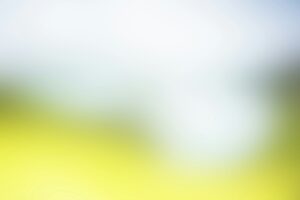 Der_Authentische_Raum_1